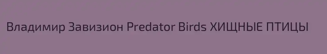 Владимир Завизион Predator Birds ХИЩНЫЕ ПТИЦЫ